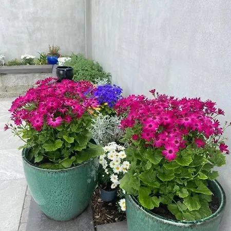 Luxury With Sea Views On The Wild Atlantic Way * Трали