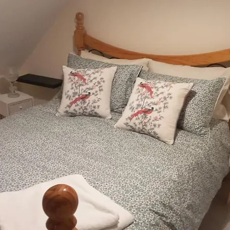 Luxury Cottage, With Sea Views On The Wild Atlantic Way 公寓 特拉利