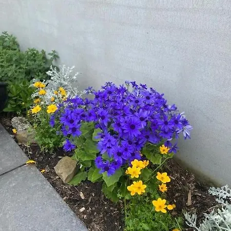 Апартаменты Luxury With Sea Views On The Wild Atlantic Way Трали