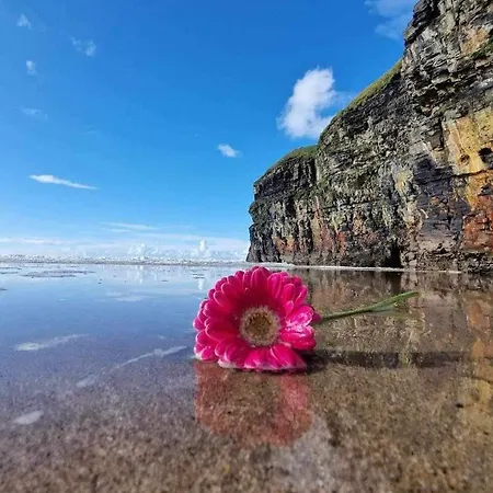 公寓 Luxury Cottage, With Sea Views On The Wild Atlantic Way *